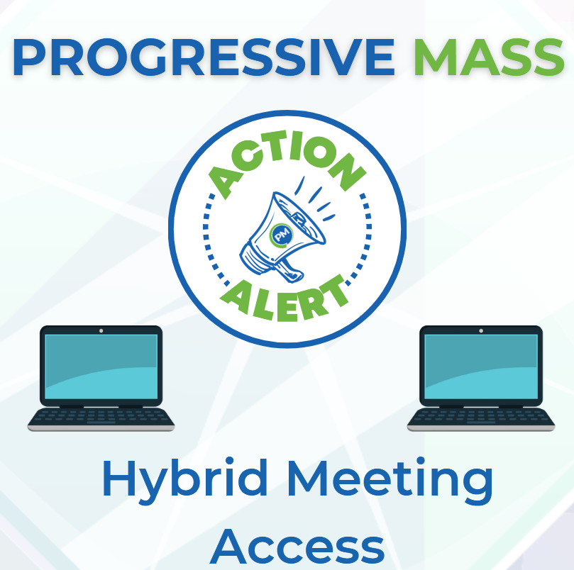 Hybrid-Meeting-Access